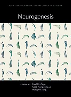Neurogenesis