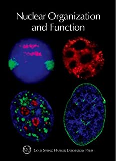 Nuclear Organization And Function  Vol Lxxv